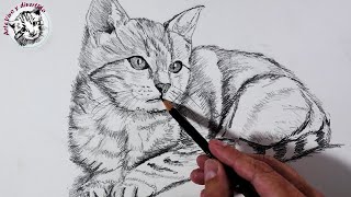 Cómo DIBUJAR un GATO realista con LAPIZ PASO a PASO [upl. by Oicnedurp634]