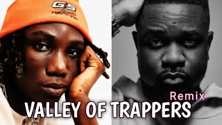 Xlimkid ft Sarkodie  Valley of Trappers Remix Official Lyrics Video [upl. by Akeenat846]