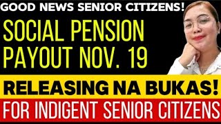 DSWD SOCIAL PENSION PAYOUT NOVEMBER 19 2024 RELEASING NA BUKAS [upl. by Ennaylime]