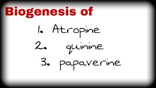 Biogenesis of atropine reserpine  papaverin quinine [upl. by Maffei]