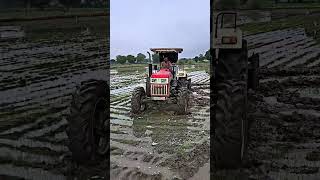 swaraj 855 4x4 855fe farmer modified farming stunt youtube tractorvideos [upl. by Ilah]