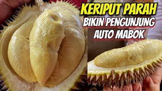 Durian Puyer Manis Pahitnya Super Power Bikin Mabok Teler [upl. by Laundes798]