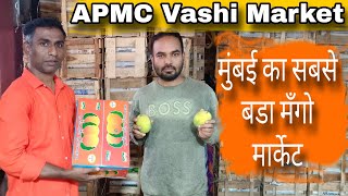 मुंबई का सबसे बडा मँगो मार्केट APMC Market Wholesale Market 2024 Vashi mango [upl. by Cliffes]