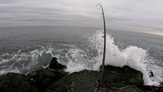 2024 November NJ Surf Fishing The Striper Blitz [upl. by Singhal]