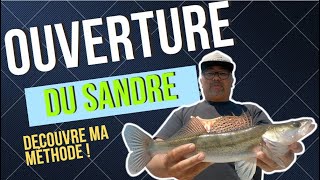 Je pêche louverture sandre en vilaine  regardez ma méthode [upl. by Knowles]