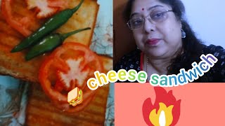 vlog7  cheese sandwich 🥪 would you try this smile with Sujata Mitra [upl. by Egamlat261]