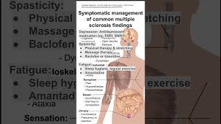 Symptomatic management of common multiple sclerosis findings [upl. by Omsoc676]