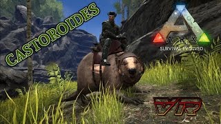 CASTOROIDES  ARK Survival Evolved [upl. by Htaeh]