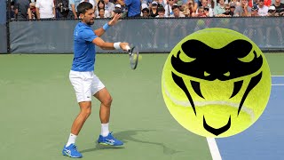 Novak Djokovic CRUSHING Forehands in Slow Motion [upl. by Shaughn]