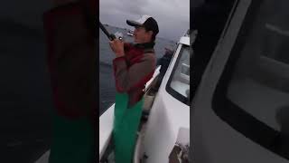 YELLOWTAIL FEVER  STRUISBAAI  HOW TO FISH YELLOWTAIL WITH HANDLINE [upl. by Towny139]