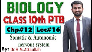 Somatic and Autonomic nervous system  Chapter  12  Biology Class 10th  Lec 16 [upl. by Ieso917]