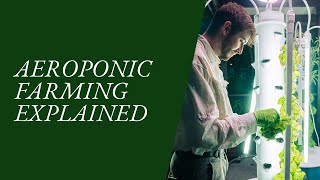 Aeroponic Farming Explained  Copiana [upl. by Ahsilac4]