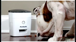 SocialPet  The Innovative Camera amp Treat Dispenser by PetSafe [upl. by Cruce]