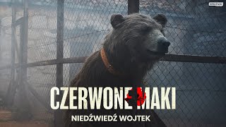 CZERWONE MAKI  Niedźwiedź Wojtek  Kino Świat [upl. by Bringhurst375]