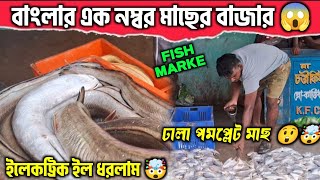 WEST BENGAL BIGEST FISH MARKET 🤯🤯দিঘা মাছের বাজার😍😍হাজার হাজার মাছে ভর্তি😍😍ইলেকট্রিক ইল ধরলাম🤯😊 [upl. by Elahcar]