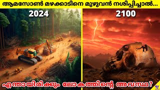 What Happens If Amazon Rainforest Is Completely Destroyed  Facts Malayalam  47 ARENA [upl. by Eniahpets]