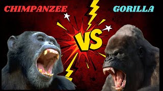 Gorilla vs Chimpanzee Who’s Stronger in the Primate Kingdom [upl. by Syman]