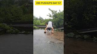 200 pushups day 57 💪 shorts fitness respect [upl. by Aihtnamas]