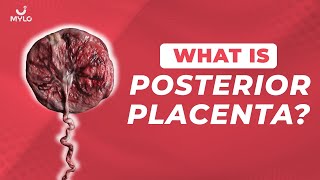 What Is Posterior Placenta Meaning In Hindi What Does Low Lying Posterior Placenta MeanMylo Family [upl. by Alekehs]