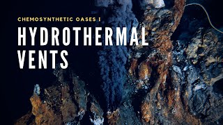 Hydrothermal Vents  Oases in the Deep Sea [upl. by Elleivad]