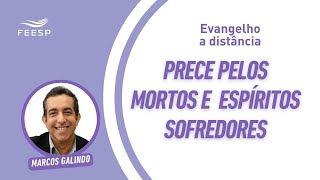 PRECE PELOS MORTOS E ESPÍRITOS SOFREDORES [upl. by Meensat]