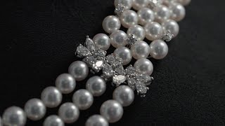 Mikimoto celebrates its 130th anniversary  The Elegance of Mikimoto Pearls  MIKIMOTO [upl. by Dewhurst375]