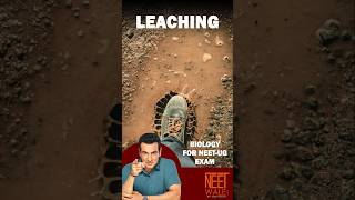 Leaching Process in Ecosystem  Ecosystem  Class 12th Biology  NEET BIOLOGY  neet biology [upl. by Neall]