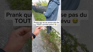 Petit coup de bluff mais ce n’est pas passé 😅😂 chien nino dog prank ninolemalou [upl. by Gennifer]