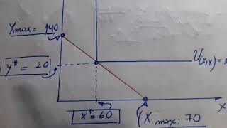 G1 E2 Bienes Complementarios perfectos [upl. by Acirtal807]