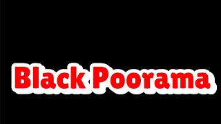 The Most Hilarious Black Poorama Theme Song Lyrics Youll Hear [upl. by Nawrocki969]