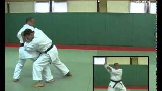 3 Heian Godan Kata Kumite Bunkai Didier Lupo [upl. by Norved340]