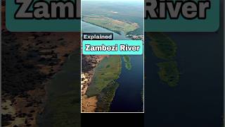 Zambezi River in Africa viralshort [upl. by Macegan609]