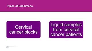 Introduction to HPVNegative Cervical Cancers and Precancers [upl. by Elockcin378]