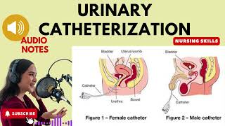 Urinary Catheterization Fundamentals Of Nursing  Audio Notes [upl. by Ardnekal]