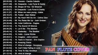 Pan Flute Covers of Popular Songs 2018 Best Instrumental Pan Flute Covers 2018 [upl. by Orodisi246]