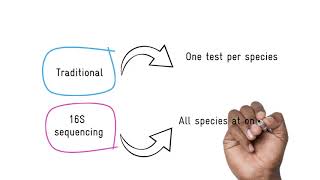 What is 16S sequencing [upl. by Ruperta]