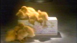 Kleenex Commercial 1989 1 [upl. by Nesline]