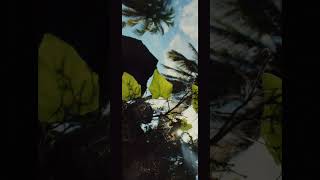 Cinematic video by Canon EOS 3000D  1855mm kit lens cinematography canon3000d nature [upl. by Yarrum725]