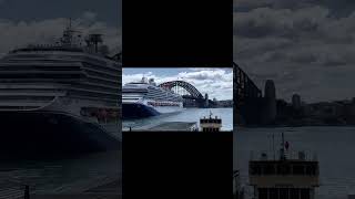 australia travel cruise ship operahouse harbourbridge australiainternationalstudents [upl. by Rbma]