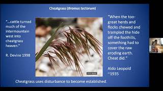 The Science Behind the Management of Cheatgrass in the CO Front Range [upl. by Eiral]