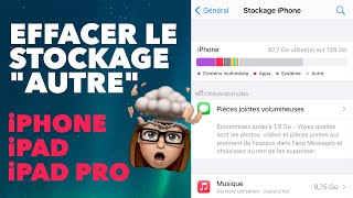 Effacer le stockage quotAUTREquot Données système sur iPhone iPad iPad Pro [upl. by Relluf]