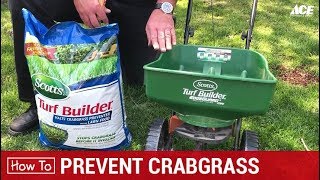 How to Prevent Crabgrass  Ace Hardware [upl. by Nylrehc]