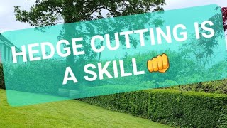 HOW I CUT A GRISELINIA HEDGE [upl. by Naujyt]