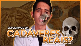 CADÁVERES REAIS Aulas práticas de Anatomia  MedampMind [upl. by Pardo]