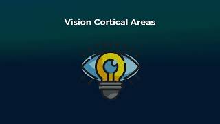 Vision Cortical Areas  Neurorobotics Studio Tutorial [upl. by Esbenshade644]