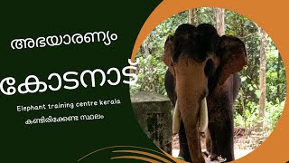 Kodanad elephant 🐘 training centreഅഭയാരന്യം [upl. by Alonzo]