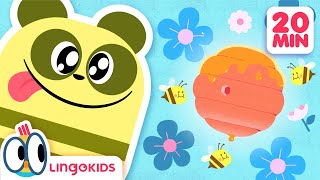 Lets Go Back to School 📚🎒 Educational Cartoons for Kids  Lingokids [upl. by Annuhsal]