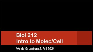 CSULB Biol 212 Fall 2024  Week 10 Lecture 2 [upl. by Yalonda828]