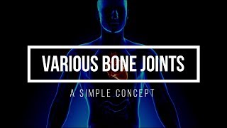 VARIOUS BONE JOINTS [upl. by Sakiv]