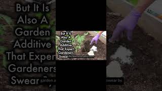 Epsom Salt Your Body and Garden Benefits [upl. by Poulter]